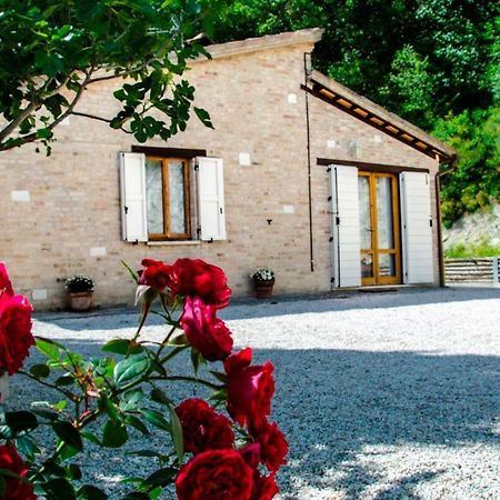 Calmancino Delle Selve Bed and Breakfast Urbino Eksteriør billede