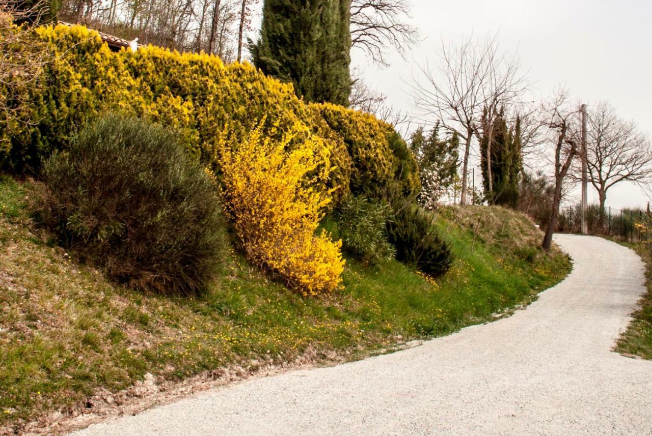 Calmancino Delle Selve Bed and Breakfast Urbino Eksteriør billede
