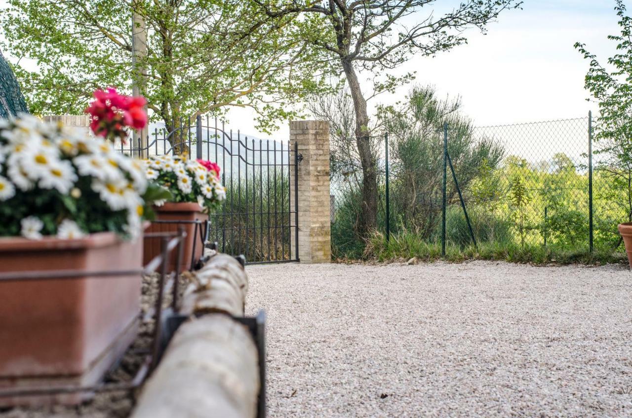 Calmancino Delle Selve Bed and Breakfast Urbino Eksteriør billede