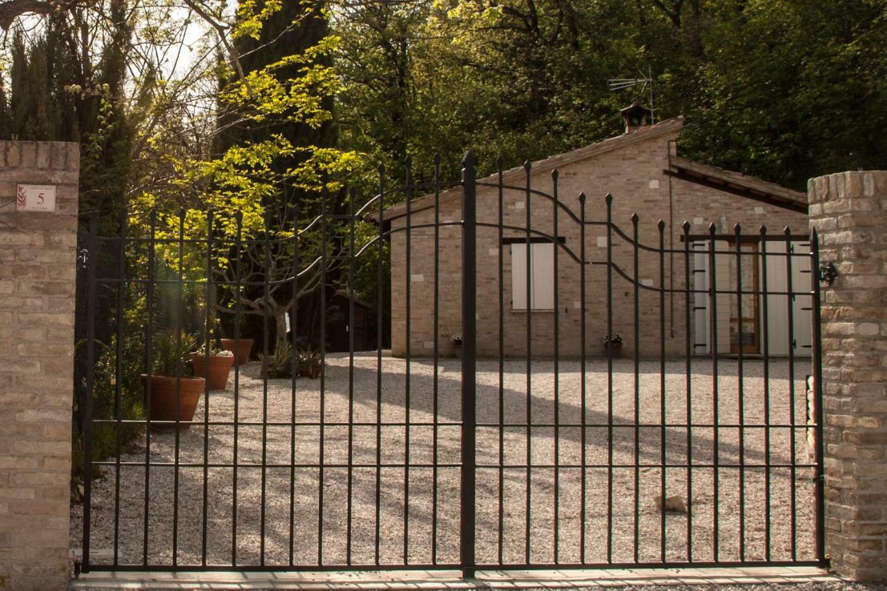 Calmancino Delle Selve Bed and Breakfast Urbino Eksteriør billede