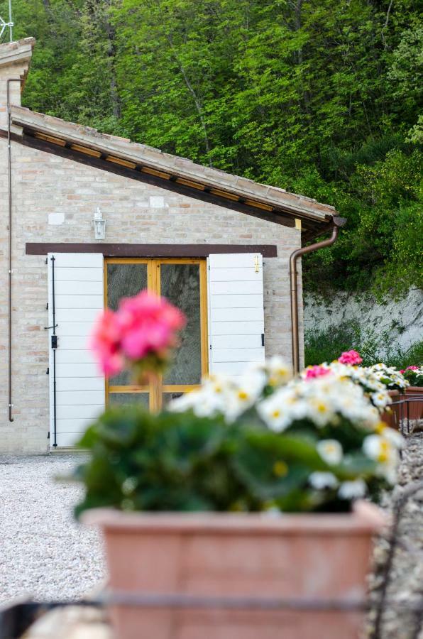 Calmancino Delle Selve Bed and Breakfast Urbino Eksteriør billede
