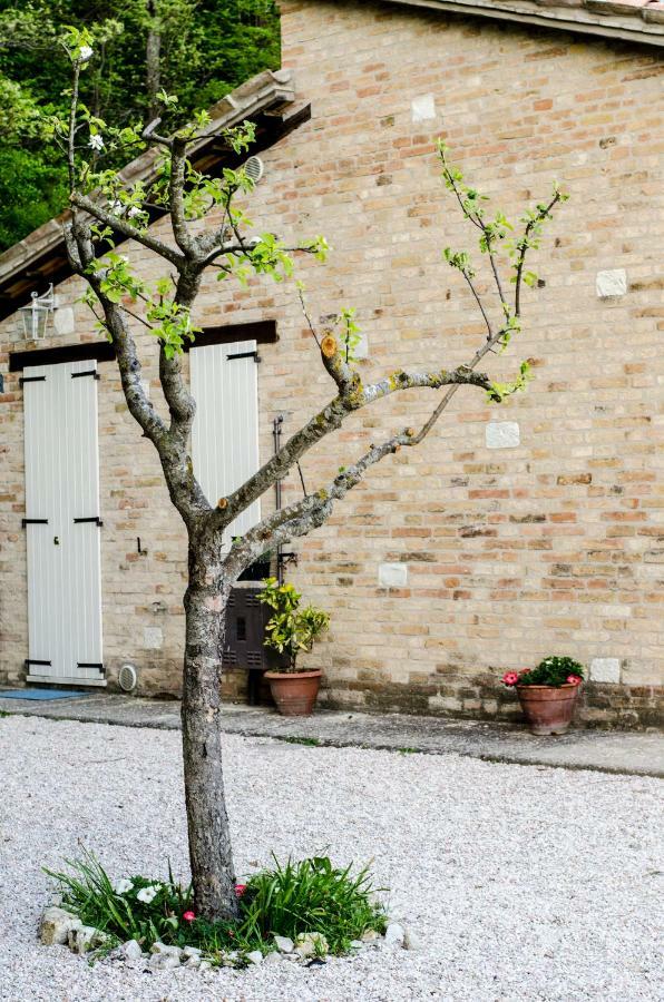Calmancino Delle Selve Bed and Breakfast Urbino Eksteriør billede
