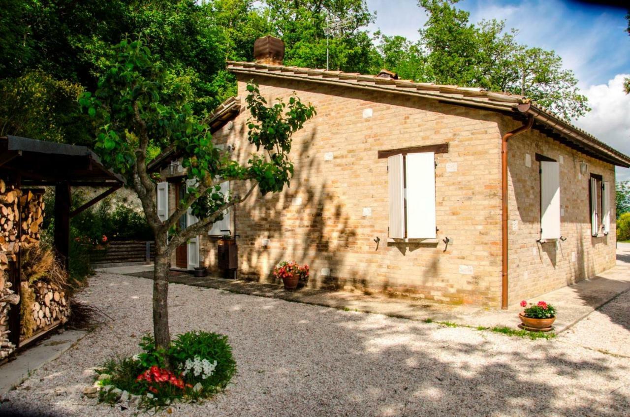 Calmancino Delle Selve Bed and Breakfast Urbino Eksteriør billede