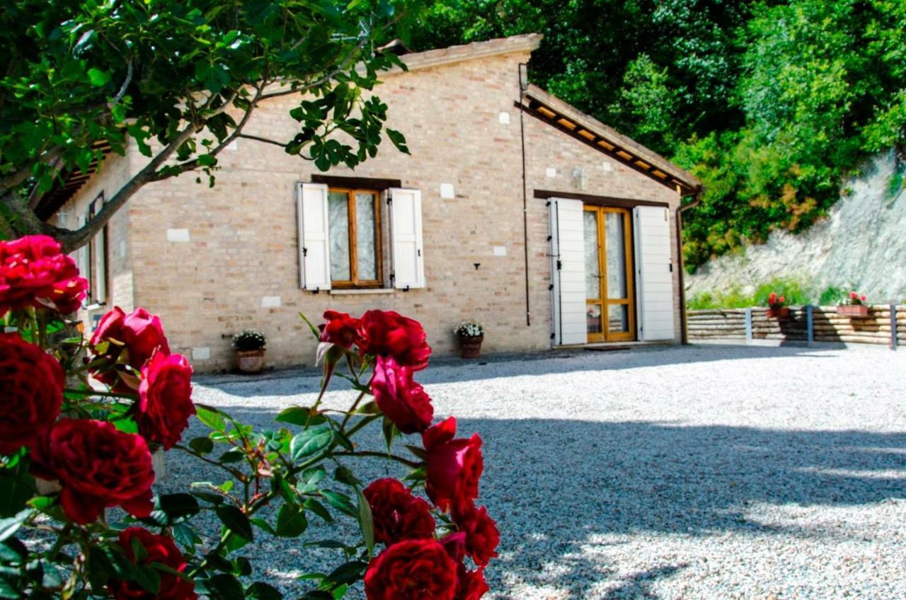 Calmancino Delle Selve Bed and Breakfast Urbino Eksteriør billede