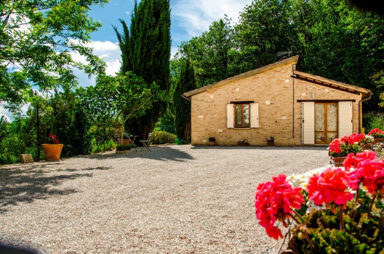 Calmancino Delle Selve Bed and Breakfast Urbino Eksteriør billede