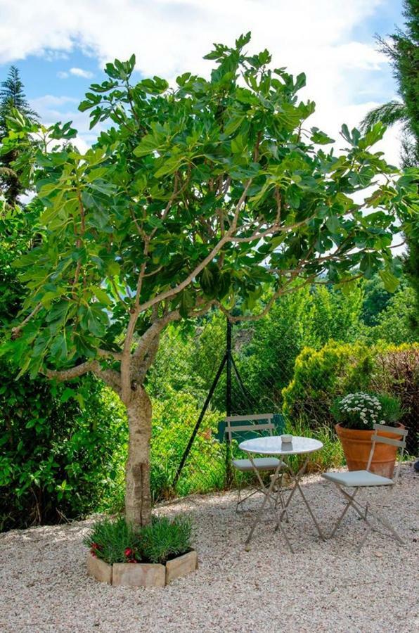 Calmancino Delle Selve Bed and Breakfast Urbino Eksteriør billede