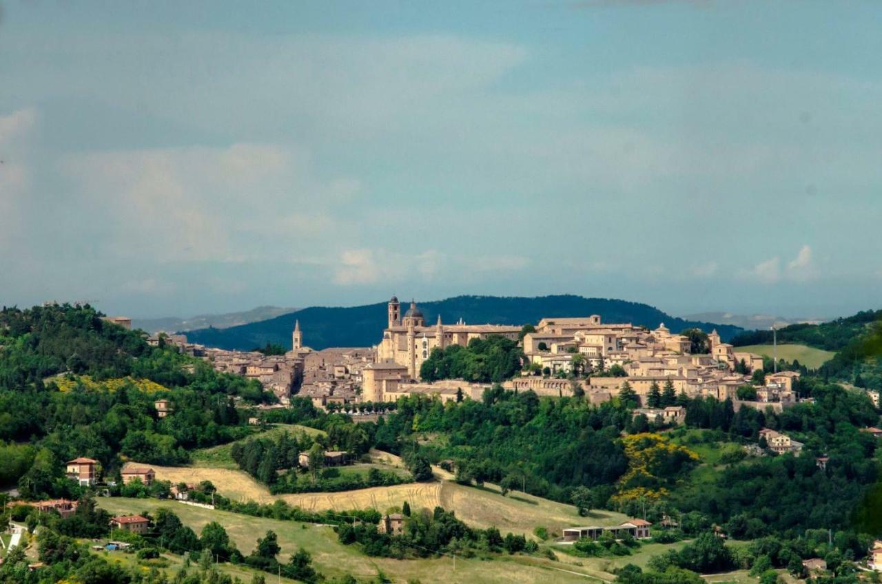 Calmancino Delle Selve Bed and Breakfast Urbino Eksteriør billede