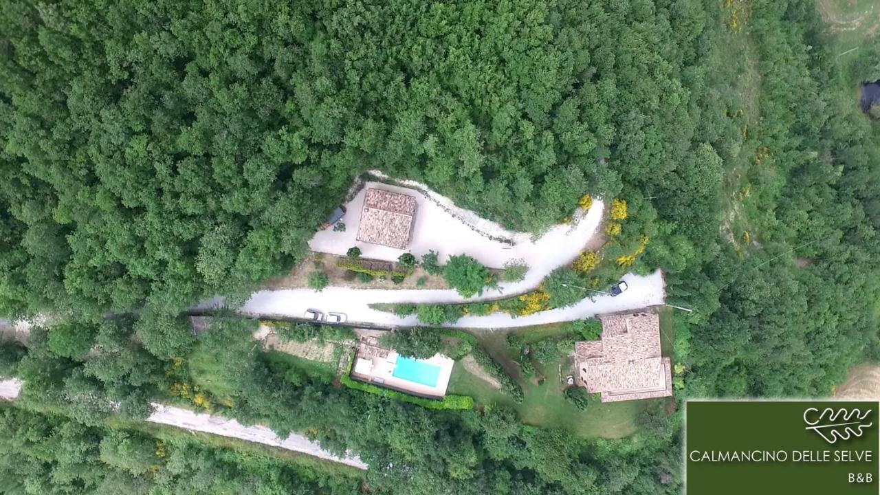Calmancino Delle Selve Bed and Breakfast Urbino Eksteriør billede