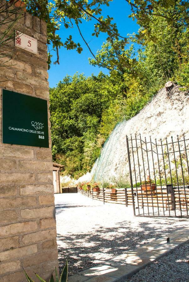 Calmancino Delle Selve Bed and Breakfast Urbino Eksteriør billede
