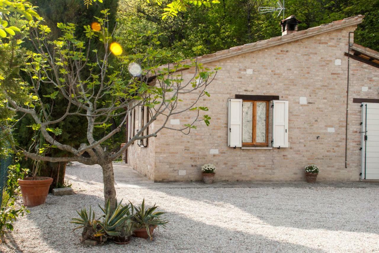 Calmancino Delle Selve Bed and Breakfast Urbino Eksteriør billede