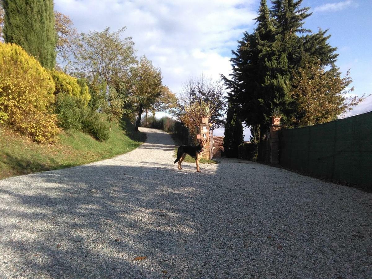 Calmancino Delle Selve Bed and Breakfast Urbino Eksteriør billede