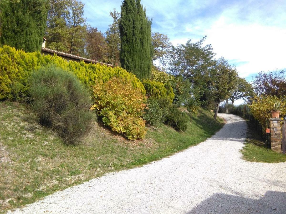 Calmancino Delle Selve Bed and Breakfast Urbino Eksteriør billede
